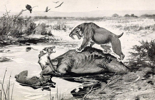 Illustration for article titled The Truth About Real-Life Dire Wolves